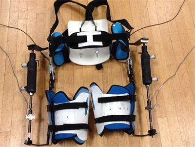 A Biomechanical Comparison of Proportional Electromyography Control to Biological Torque Control Using a Powered Hip Exoskeleton